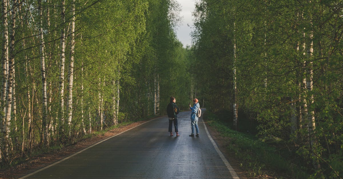 Two individuals strolling along a tree-lined road, surrounded by lush green forest.
