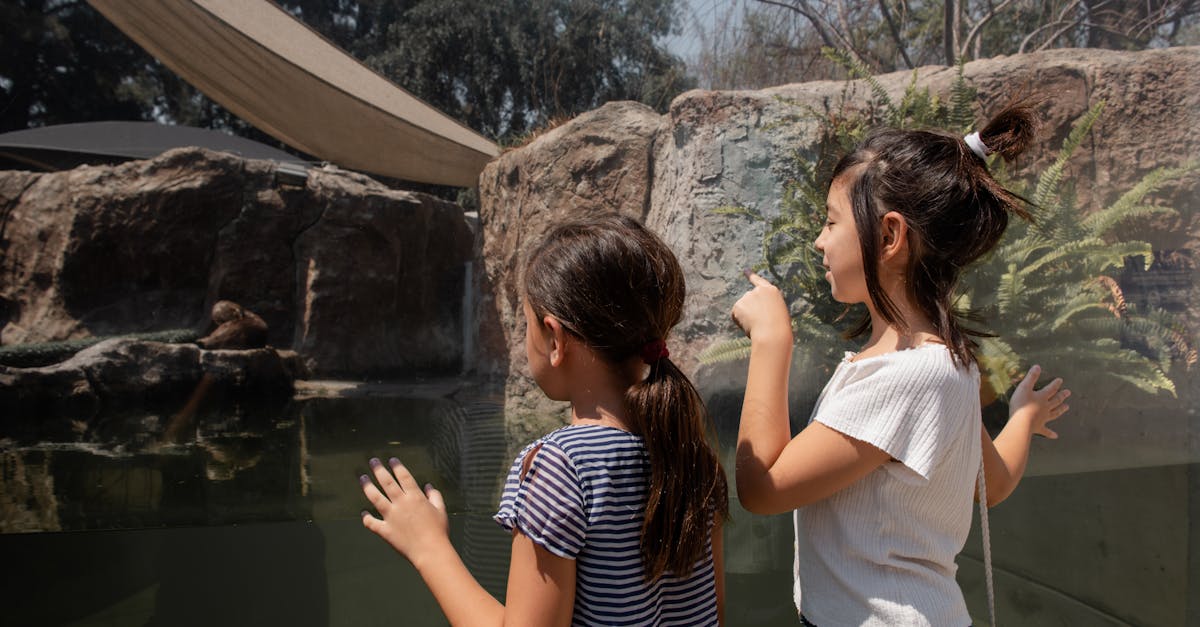 Two children observing an otter in a zoo aquarium through glass.