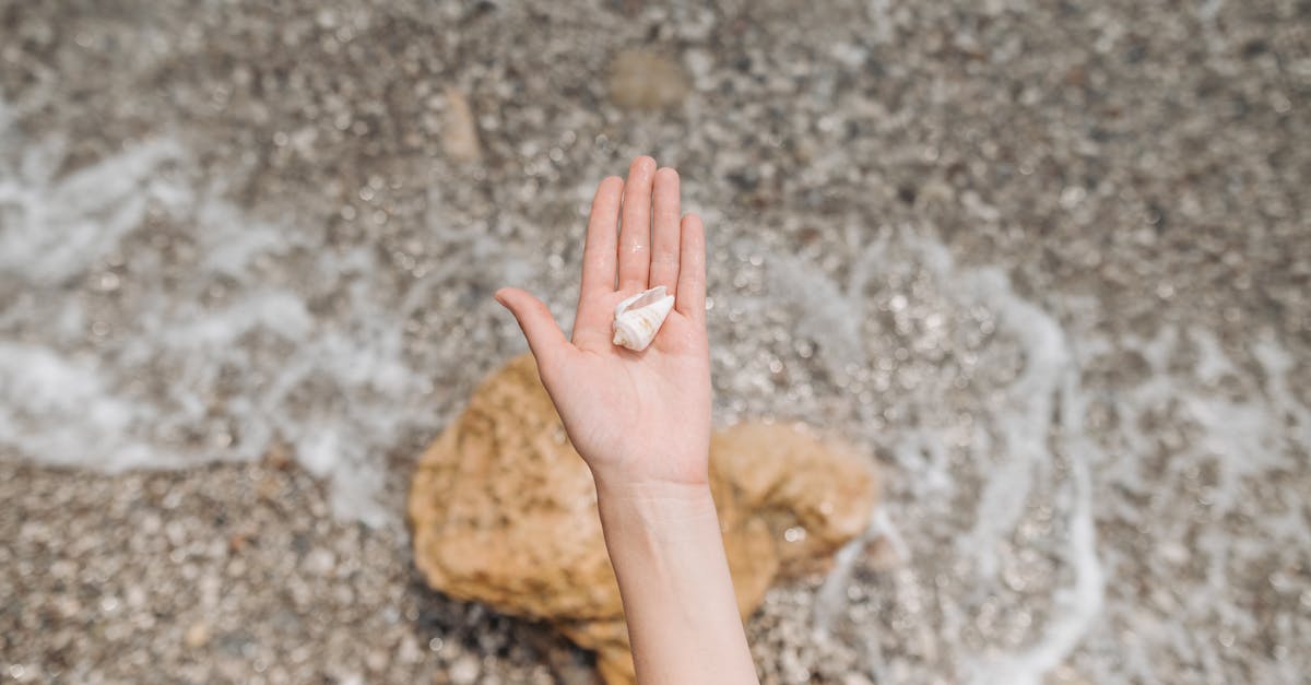 Close-up of a hand holding a seashell over a textured, pebbled beach near water.