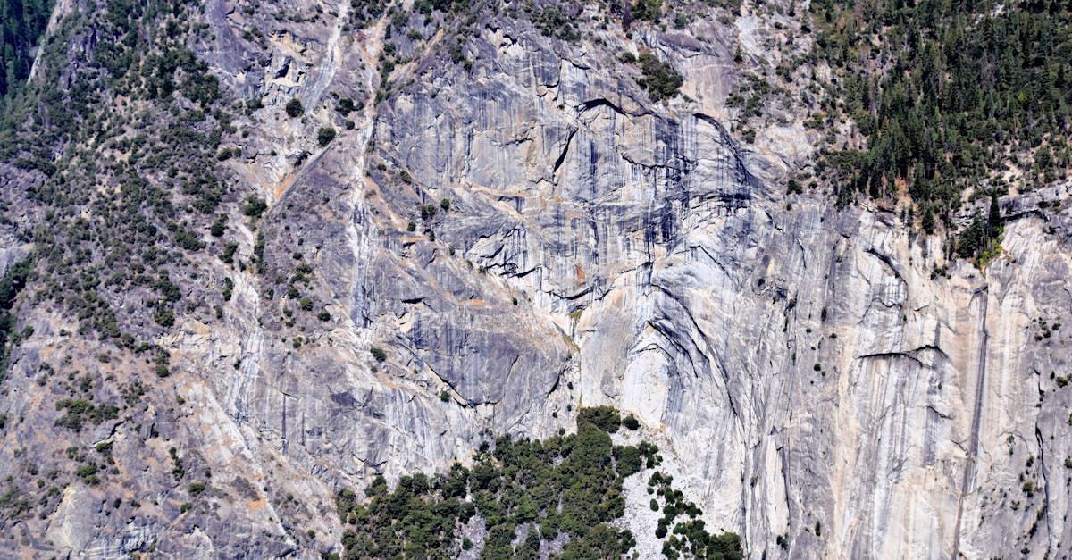 Explore the rugged beauty of Yosemite's iconic rocky cliffs and lush greenery.